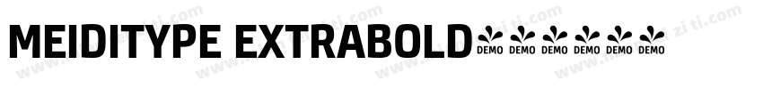 MEIDITYPE EXTRABOLD字体转换